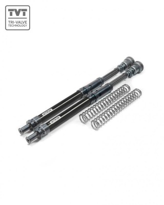 NITRON TVT 25MM CARTRIDGE KIT KAWASAKI VERSYS 1000 2019-2023 image