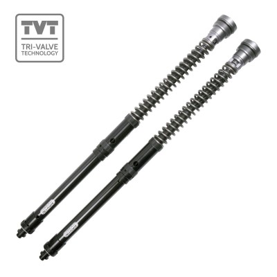 NITRON TVT22 22MM CARTRIDGE KIT SUZUKI GSXR750 1985-87 *****PROTOTYPE***** NO SPRINGS image