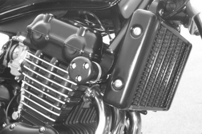 1 PAIR GSG PROTECTORS, TRIUMPH LEGEND TT 98 ON, NO MODS REQUIRED image