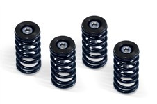 BARNETT CLUTCH SPRING KIT – BLACK CUPS - ALL 6 SPEED DRY CLUTCH - DUCATI MODELS image