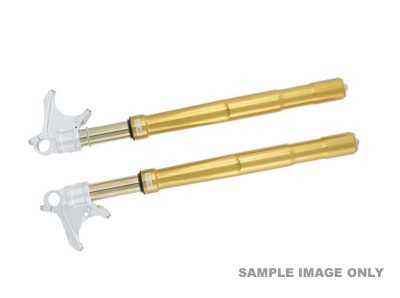 1 PAIR OHLINS ROAD/TRACK FORKS KAWASAKI ZX10R 2016-2020 /  ZX10RR 2018-2020 image